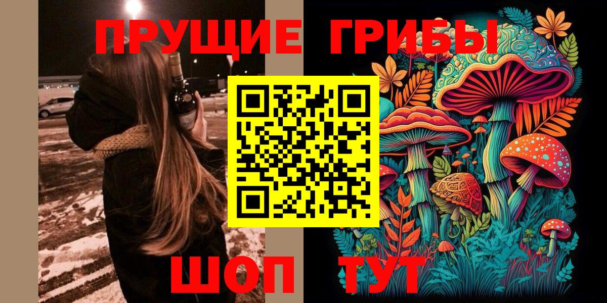 Псилоцибиновые грибы Cubensis Нижнеудинск