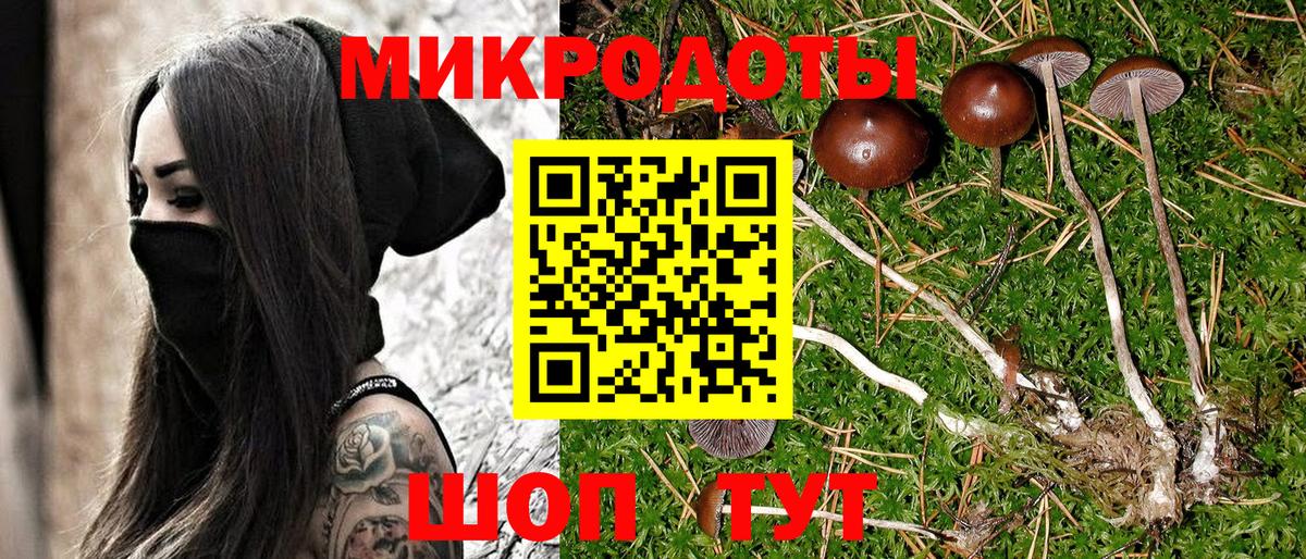 Псилоцибиновые грибы прущие грибы  Вход с VPN  Псилоцибиновые грибы MAGIC MUSHROOMS  Нижнеудинск 